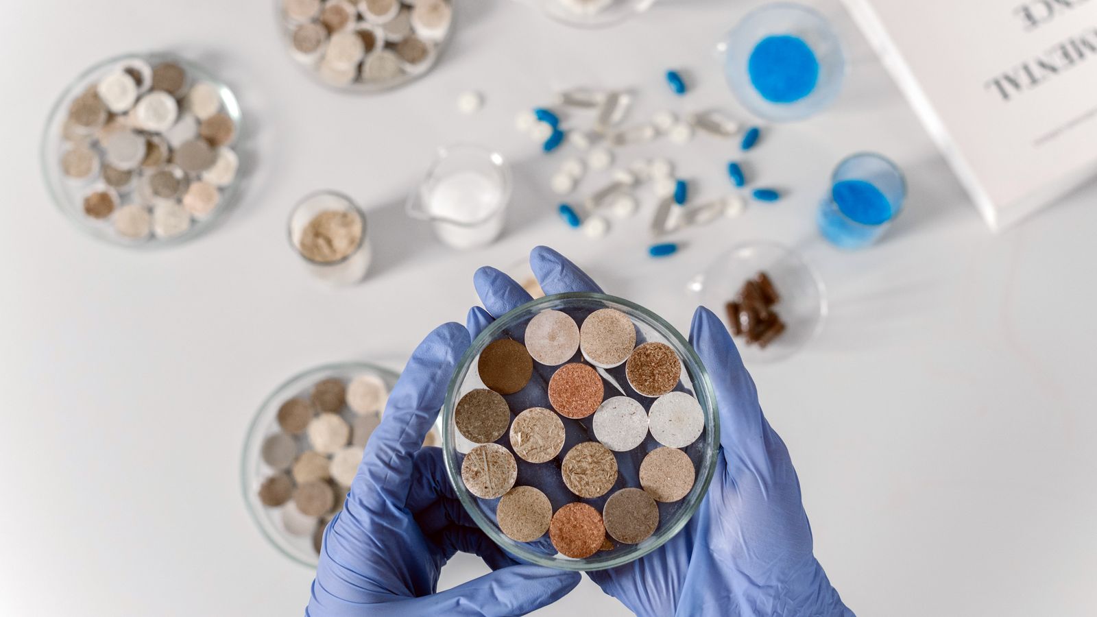 A scientist wearing gloves examines several soil samples in petri dishes arranged on a clean white background.